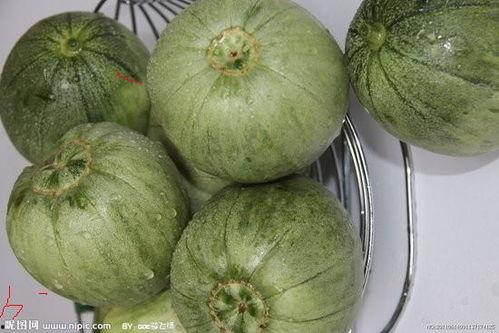昆明今日生瓜价格行情,波动中寻求平衡