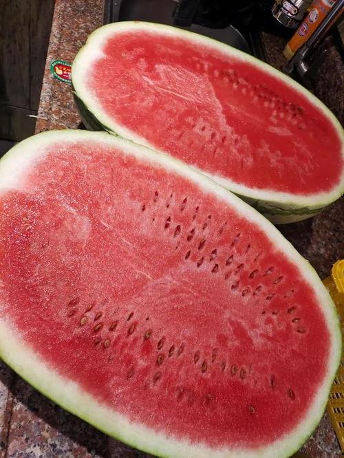 昆明今日生瓜价格行情,波动中寻求平衡
