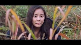 伦理片免费视频,免费伦理片视频背后的故事