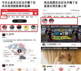 今日头条小瓜解说,深度解析社会现象，带你领略时事风云