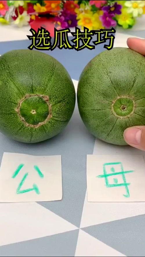 今日吃瓜现状怎么样,娱乐圈风云再起，网友热议不断