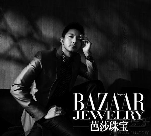 绅士视频,视频中的优雅瞬间