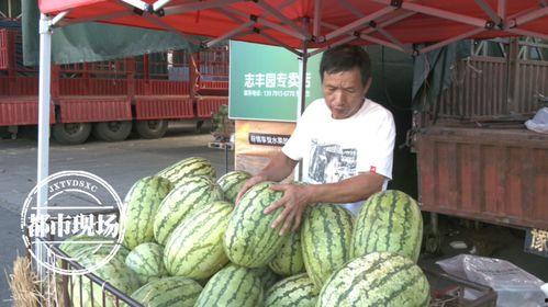 陕西今日一瓜价,市场动态一览