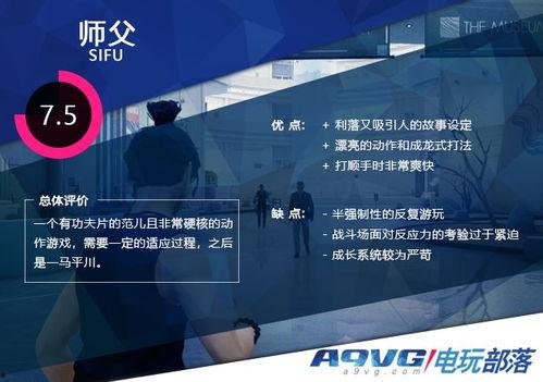 成仁视频,揭秘人生真谛，探寻心灵成长之路