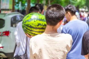 吃瓜大学爆料视频,揭秘校园风云录