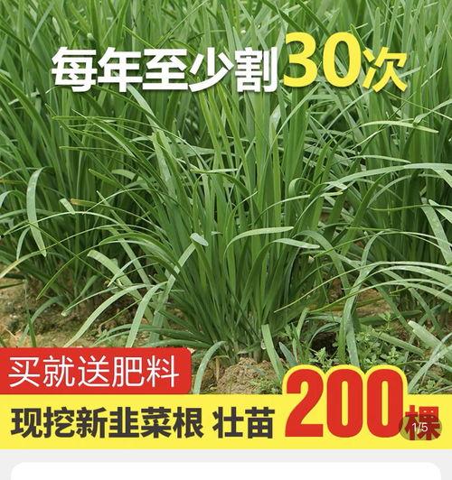 718sx吃瓜爆料,揭秘娱乐圈幕后真相