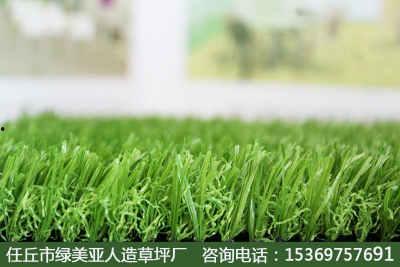99草视频,揭秘绿色生态生活新风尚