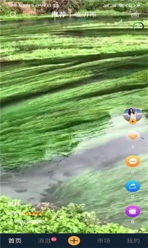 99草视频,揭秘绿色生态生活新风尚