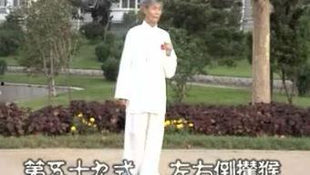杨式太极拳85式视频,传承经典，动静相宜的养生之道