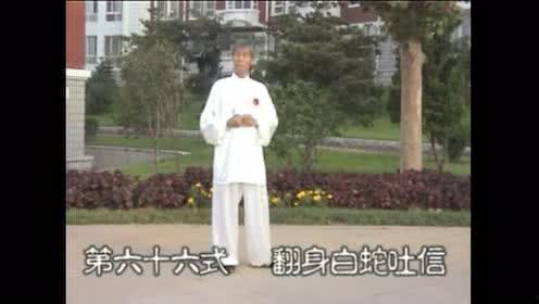 杨式太极拳85式视频,传承经典，动静相宜的养生之道