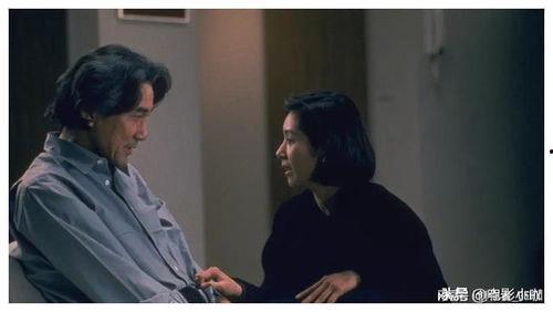 伦理视频在线观看,探索在线观看伦理视频的深度解读