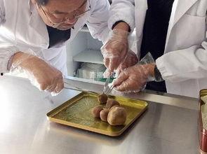 羊宝吃瓜爆料的是真的吗,真相揭秘，是真是假？