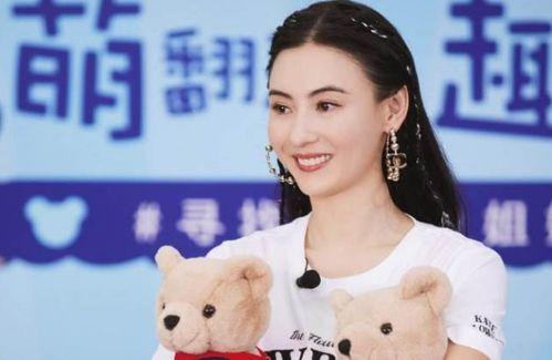吃瓜爆料张柏芝,娱乐圈的瓜田传奇