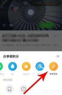 视频链接,精彩内容抢先看