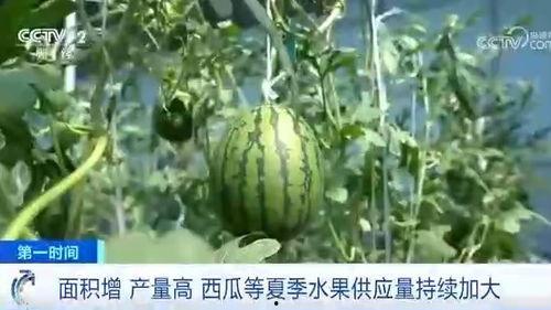 张凌赫最新吃瓜爆料,揭秘娱乐圈不为人知的幕后真相
