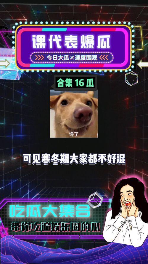 今日份八卦快乐吃瓜图片,揭秘娱乐圈新鲜事，快乐吃瓜图鉴