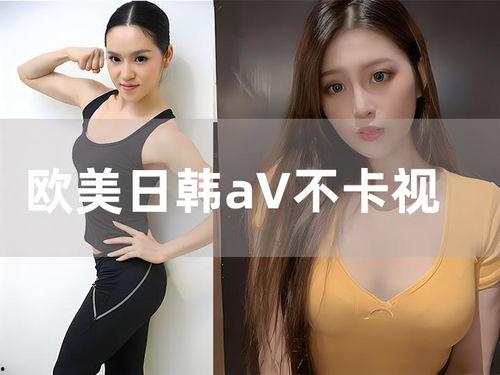 日韩美视频