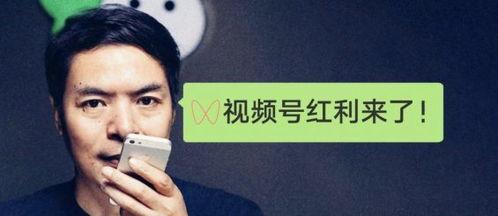 人人插视频,揭秘短视频平台的魅力与挑战