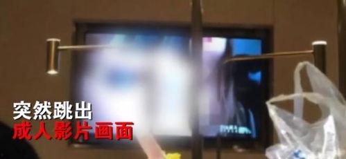 看淫秽视频,揭秘网络淫秽视频的诱惑与危害