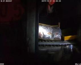 入肉视频,真实场景下的感官冲击与反思