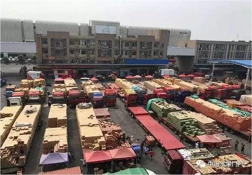 今日嘉兴市场瓜行情,新鲜瓜品抢眼登场