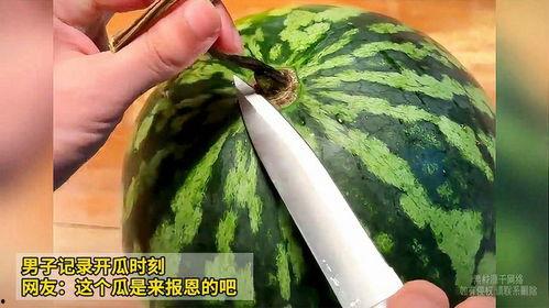 51黑瓜吃料网安全吗,揭秘平台安全性，保障用户安心体验