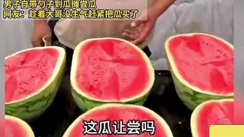 51黑瓜吃料网安全吗,揭秘平台安全性，保障用户安心体验