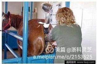 美女交配视频,探寻人类繁衍的奥秘