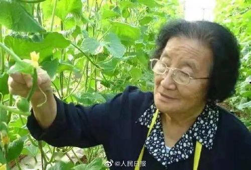 宁波主持人吃瓜爆料,揭秘娱乐圈幕后真相