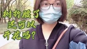 51热门今日吃瓜群众是阿朱啊