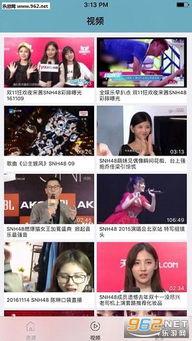 夜夜免费视频,揭秘网络娱乐新潮流
