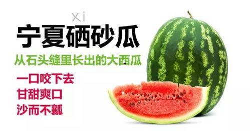 宁夏硒砂瓜今日价格,今日价格行情一览，品质之选受热捧”
