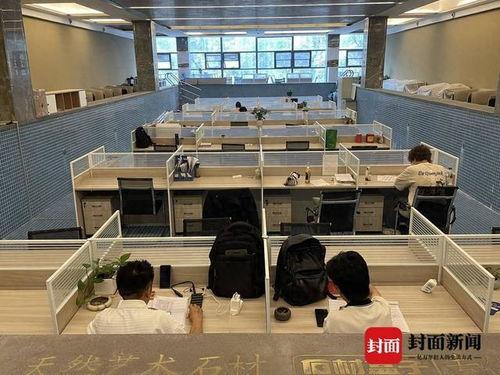 办公室视频,揭秘日常办公场景与团队协作瞬间