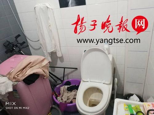 黄色视频做爰视频,揭秘内容演变与伦理边界