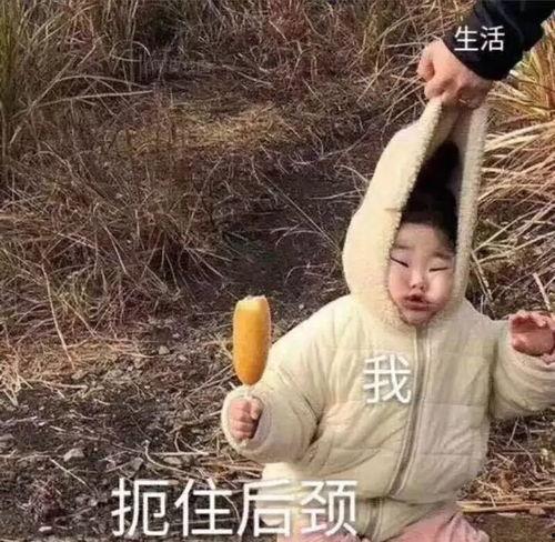 沙雕吃瓜爆料图片大全,揭秘娱乐圈幕后真相