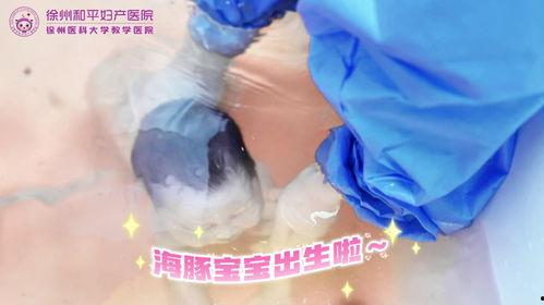 水中生孩子视频,见证生命诞生的独特瞬间