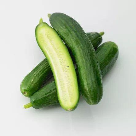 甘肃小乳瓜今日价格表,市场行情稳中向好