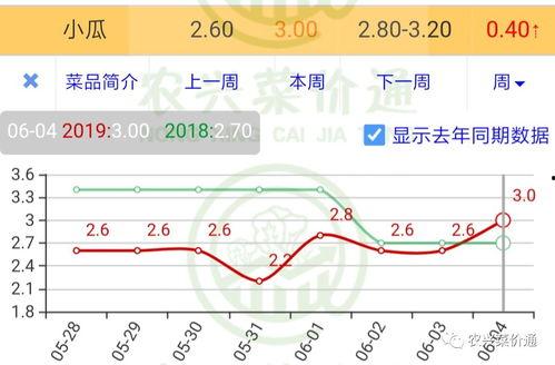 今日小瓜走势分析,今日走势深度解析