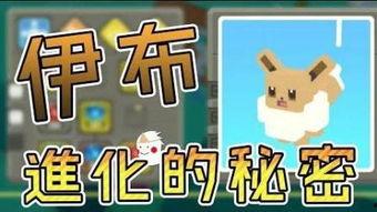 寻宝视频,跟随寻宝视频揭开神秘面纱