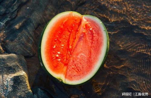 今日宜吃瓜txt,揭秘娱乐圈最新热点事件