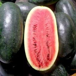 今日宜吃瓜txt,揭秘娱乐圈最新热点事件