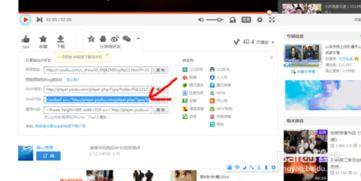 优酷视频网页,探索海量精彩内容，畅享视听盛宴