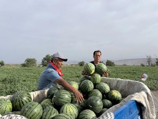 今日吃瓜江南第一深情,探寻吃瓜背后的文化韵味
