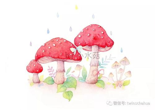 小蘑菇视频,探秘奇妙菌类世界的奇幻之旅