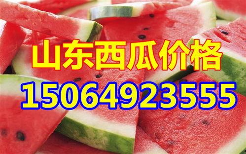 二瓜今日价格,市场动态一览”