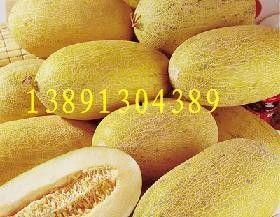 今日哈密瓜批发价格查询,今日行情一览