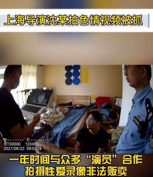 成人公开视频,内容、影响与反思