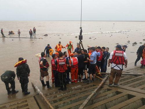 今日瓜头鲸现状,海洋中的“沉默守护者”面临挑战