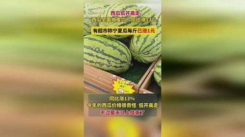 万邦批发市场今日瓜价,今日瓜价行情一览