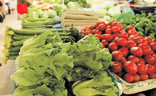 深圳白瓜今日价格,市场行情一览”